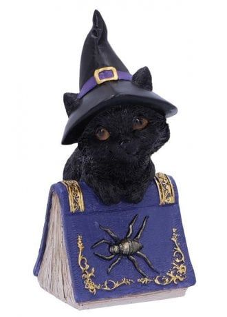 Nemesis Now Pocus Cat Figurine | Attitude Clothing Cookie Run Papercraft, Animal Witch, Gothic Cats, Wiccan Home Decor, Wiccan Home, Darkly Inclined, Hastings Old Town, Beautiful Black Cats, Home Forest