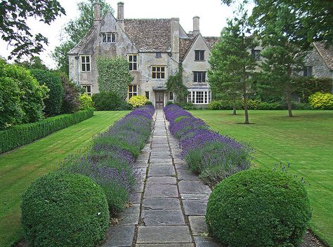 walkway landscaping.  curb appeal.  country garden. Boxwoods Along Walkway, Lavender And Boxwood Landscaping, Lavender Lined Driveway, Boxwood Lined Walkway, Boxwood Manor, Boxwoods Lining Walkway, Boxwood Landscaping, Front Lawn Landscaping, Boxwood Garden