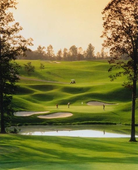 Golf Course Photography, Top Golf Courses, Golf Photography, Best Golf Clubs, Golf School, Public Golf Courses, Best Golf Courses, Golf Irons, Golf Tips For Beginners