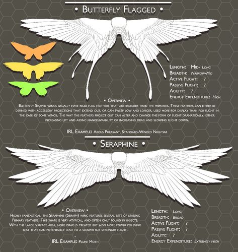 Wing Anatomy, Types Of Wings, Wings Drawing, Wings Art, Wings Design, Concept Art Drawing, Mythical Creatures Art, Creature Concept Art, 판타지 아트