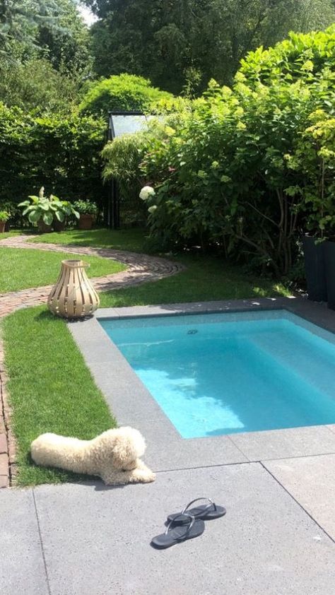 Small Pools Backyard, Small Backyard Pool Ideas, Small Backyard Pool, Backyard Pool Ideas, Designing Tips, Pool Ideas On A Budget, Pools For Small Yards, Instagram Planning, Small Swimming Pools