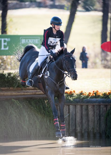 horse jumping off drop in to water Equestrian Cross Country, Cross Country Horses, Cross Country Horse Riding, Eventing Cross Country, Cross County, Cross Country Jumps, Horse Shop, Equestrian Aesthetic, Horse Ideas