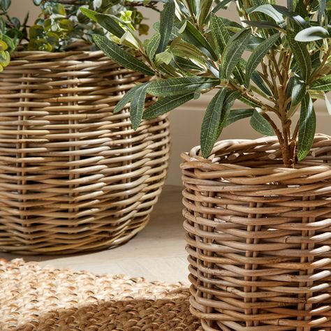 * Made from 100% rattan * Handmade * Suitable for indoor use only Liven up your space with our Churchgate Rattan Planter set – a dynamic duo that's all about style and substance! Lovingly handcrafted, these two planters bring a touch of authenticity to your indoor haven. Crafted from 100% natural materials, they're a nod to nature itself. And let's not forget their flair for indoor charm – they're designed to elevate your space while your plants flourish in their element. Dive into the world of Rattan Baskets, Garden Room Pots & Planters, Wicker Baskets And Plants, Wicker Basket Plants, Rattan Basket Plants, Conservatory Plants, Rattan Planters, Green Lounge, Rattan Pots & Planters