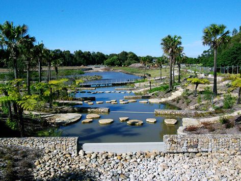 Sydney Park, House Garden Landscape, Storm Water, Stormwater Management, Wetland Park, Landscape Architecture Design, Rain Water Collection, Water Management, Landscape Plans