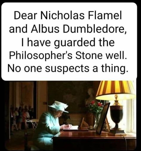 Nicholas Flamel, Stone Well, British Memes, Funny Harry Potter Jokes, Philosopher's Stone, Harry Potter Puns, Harry Pottah, Albus Dumbledore, Harry Potter Jokes