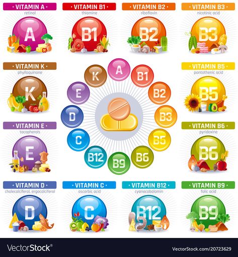 Mineral vitamin multi supplement icons Royalty Free Vector Vitamin Function Chart, Vitamin And Mineral Chart, Vitamins And Minerals Chart, Vitamins And Minerals Chart Nutrition, Vitamin D Side Effects, Infographic Diagram, Vitamin Charts, Table Illustration, Medical Infographic