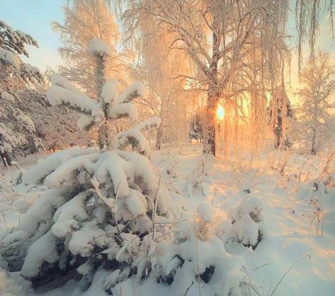 Winter Cottagecore, I Love Winter, Christmas Feeling, Fantasias Halloween, Winter Scenery, Best Seasons, Winter Wonder, Winter Aesthetic, Samhain