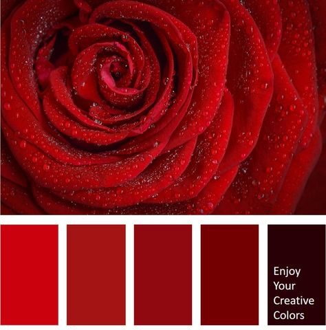 Color Palette #0069 - Million Shade Red Shades Colour Palettes, Red Pallete Color, Deep Red Color Palette, Colour Palette Red, Shades Of Red Color, Mandolin Lessons, Pantone Red, Adele Hello, Red Bedroom