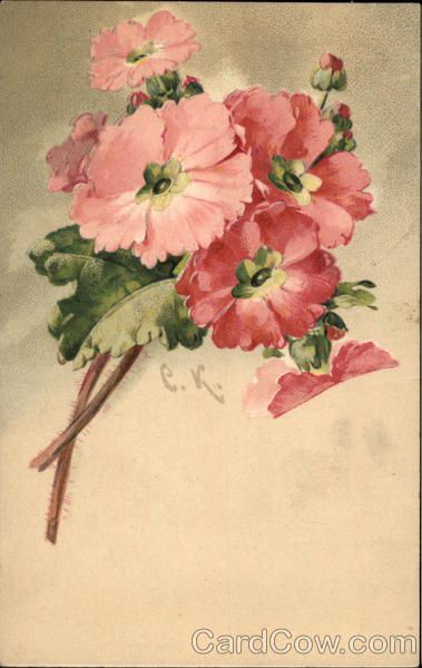 Catherine Klein, Postal Vintage, Birthday Postcards, Floral Image, Antique Postcard, Pink Blossom, Old Postcards, Arte Floral, Floral Illustrations