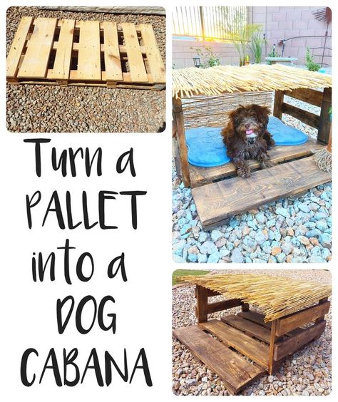 Dog Cabana, Shade For Dogs, Diy Repurposed Items, Pallet Board Projects, Outdoor Decor Diy, Patio Upgrade, Caring For Animals, Bed Options, Outdoor Holiday Decorations