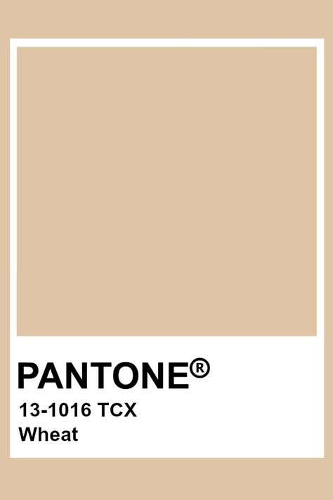 PMS 13-1016 TCX / Wheat / #dec5a5 Hex Color Code The hexadecimal color code #dec5a5 is a light shade of brown. - Encycolorpedia Brown Pantone Shades, Light Brown Colour Palette, Pantone Brown Shades, Brown Pantone Color, Light Brown Pantone, Light Brown Color Palette, Wheat Color Palette, Tan Pantone, Pantone Brown