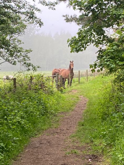 Countryside walk :) Country Walk Aesthetic, Identity Moodboard, Cowboy Cabin, Countryside Walks, Countryside Scenery, Country Walks, 2024 Aesthetic, Tree Sap, British Country