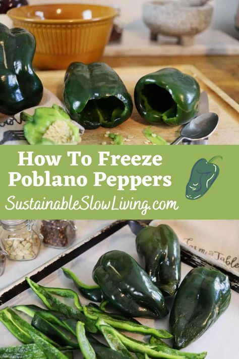 You can preserve both fresh or roasted poblano peppers by freezing them. There are a few ways to freeze them, and many more ways to cook with them once they're thawed. Freeze Poblano Peppers, Freezing Roasted Peppers, Pablano Pepper Recipe, Freezing Food Guide, Pickled Jalapeno Recipe, Freezing Peppers, Stuffed Poblanos, Poblano Peppers Recipes, Preserving Vegetables