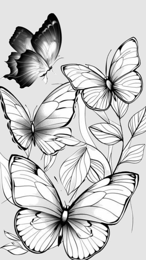 Free Butterfly Coloring Pages, Butterfly Pictures Printable, Coloring Pages For Adults Free Printable, Traceable Drawings Free Printable, Butterfly Coloring Pages Free Printable, Butterfly Coloring Pages For Adults, Butterfly Drawing Outline, Nature Outline, Simple Outlines