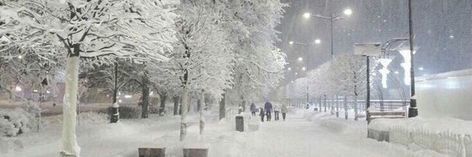 snowy street trees snow aesthetic white christmas park winter Winter Banners Discord, Snowy Discord Banner, Winter Banner Twitter, Winter Notion Banner, Ice Twitter Header, Winter Aesthetic Header, Winter Twitter Header Aesthetic, Snow Banner Discord, Winter Banner Discord