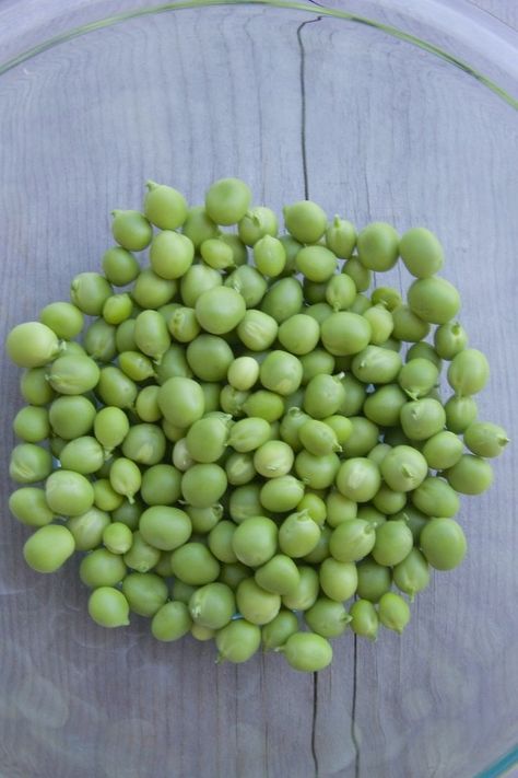 Shelling Peas Recipe, Fresh English Peas Recipe, English Peas Recipe, Fresh Pea Recipes, How To Cook Peas, Fresh Peas, How To Cook Greens, English Peas, Csa Recipes