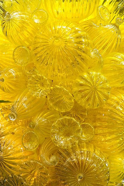 "Untitled," by nevercalm, via Flickr -- From the tags, this is Dale Chihuly's blown glass work in the New York Botanical Garden. Yellow Texture, Manipura Chakra, Yellow Fever, Dale Chihuly, Chihuly, Yellow Submarine, Yellow Aesthetic, Colour Yellow, Mellow Yellow