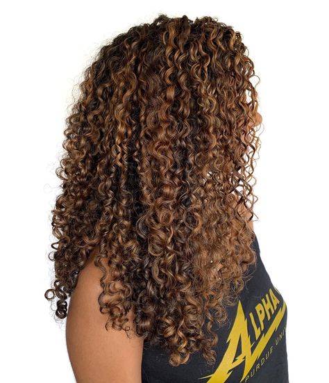 Natural Hair Highlights, Rachel Hair, Blond Highlights, Curly Highlights, Aesthetic Hairstyles, Brown Hair Dye, Dyed Natural Hair, Beautiful Curly Hair, Brown Blonde Hair