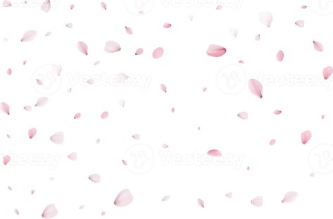 Sakura Petals, Pink Sakura, Free Png, The Pink, Png Images, Transparent Background, Template Design, Vector Free, Royalty