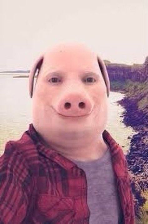 John Pork, To Share, Funny, Water