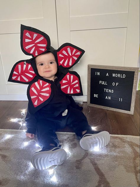 Look at my 11 months old picture. The cutest demogorgon ever 💜 Onesie: shein Petals: made of a fabric from the dollar store 😂 #strangerthings #demogorgon #11months 11 Months Photoshoot Ideas, 11 Month Old Baby Photoshoot Ideas, 11 Month Milestones Photo Ideas, Baby 11 Months Photography, 11 Months Baby Photoshoot Ideas, 11 Month Baby Photo Ideas, Milestone Ideas, Mommy Son Outfits, 11 Month Old Baby