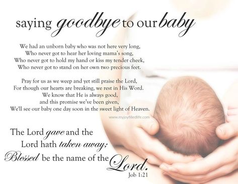 Remembering Baby, Angel Baby Quotes, Bereaved Mothers, Infant Loss Memorial, Mother Poems, Infant Loss Awareness, Pregnancy And Infant Loss, Unborn Baby, Pregnancy Loss