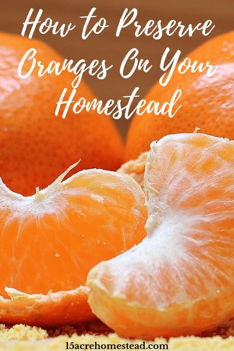 Learning new ways to preserve oranges on your homestead can provide many ways to enjoy them year-round! Preserve Oranges, Home Skills, Homestead Kitchen, How To Make Orange, Acre Homestead, Long Term Food Storage, Dehydrated Fruit, Homesteading Skills, Fruit Preserves