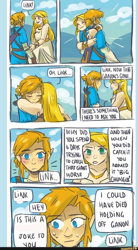 Link Botw, Botw Zelda, Legend Of Zelda Memes, Zelda Funny, Link Zelda, Zelda Art, Legend Of Zelda Breath, Memes Br, Zelda Breath