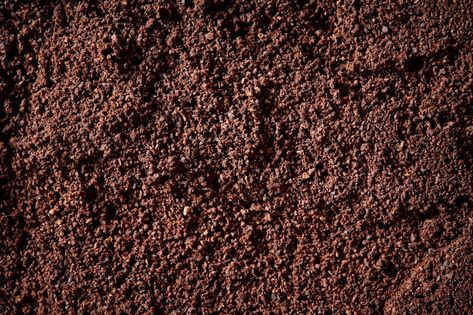 Loam Soil, Peat Soil, Acid Loving Plants, Edible Seeds, Texas Gardening, Growing Gardens, Gardening Trends, Spring Flowering Bulbs, Soil Testing