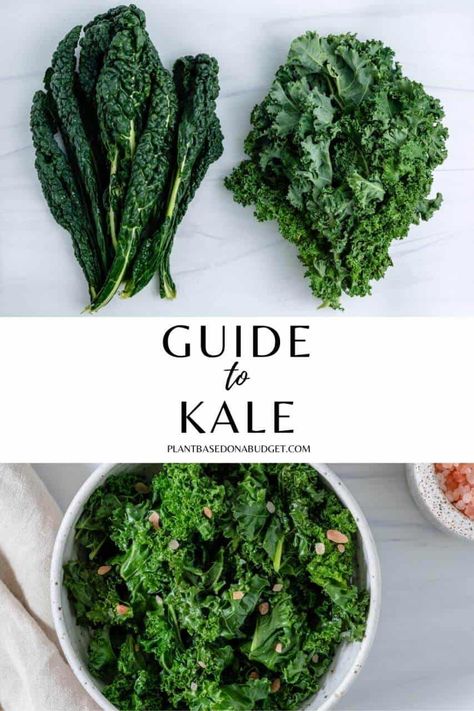 Types Of Kale, Kale Vegetable, Kale Plant, Curly Kale, How To Cook Kale, Vegan Guide, Veggie Pasta, Vegan Salad Recipes, Kale Recipes