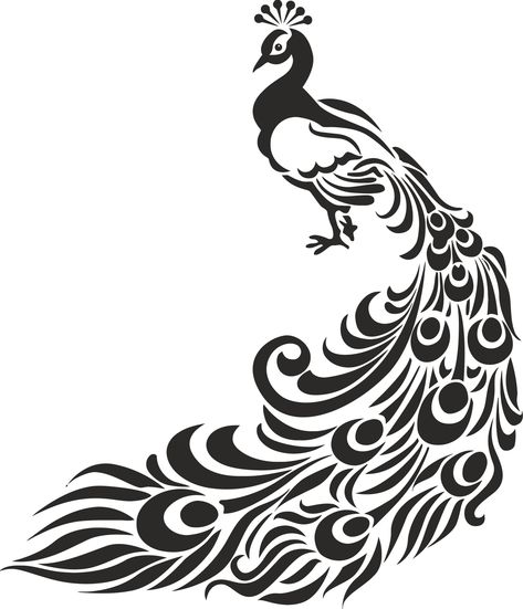 Peacock Stencil Free Vector Peacock Drawing Images, Peacock Vector, Peacock Drawing, Peacock Wall Art, Eye Logo, Free Stencils, Stencil Patterns, Peacock Design, Drawing Images