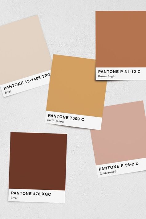 Brand Color Palette, Color Palette Design, Shades Of Brown, Color Inspo, Top Five, Aesthetic Colors, Colour Schemes, Color Pallets, Color Swatches