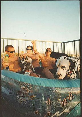 Sublime Bradley Sublime, Bradley Nowell, Dog Oc, Lou Dog, Sublime Band, Dorm Posters, Family Images, Dog Runs, Kinds Of Music