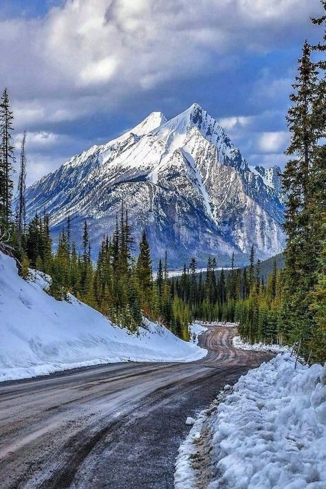 Winter Photo, Winter Scenery, Alberta Canada, Winter Landscape, Mountain Landscape, Winter Scenes, Amazing Nature, Nature Pictures, Land Scape