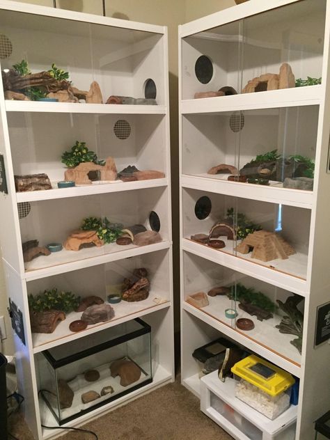 Leopard Gecko Enclosure, Snake Habitat, Reptile Rack, Gecko Enclosure, Leopard Gecko Habitat, Snake Pet, Snake Cages, Diy Reptile, Gecko Habitat