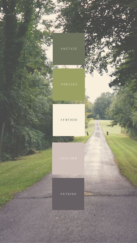 Colour Palette 2024, Natural Colour Palette, Irish Country, Color Design Inspiration, Hex Color Palette, House Color Palettes, Country Walk, Nature Color Palette, Blue Color Schemes