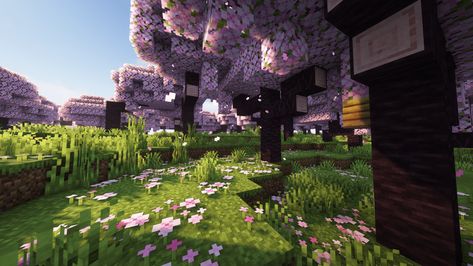 Minecraft Wallpaper For Pc, Minecraft Wallpaper 4k Desktop, Minecraft Laptop Wallpaper, Xbox Wallpaper Backgrounds, Minecraft Thumbnail Background, Minecraft Pc Wallpaper, Minecraft Cherry Blossom Tree, Background Images Landscape, Blossom Video