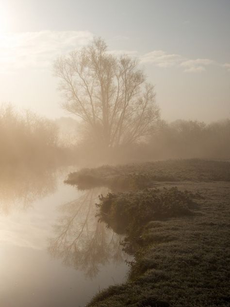 landscapes & nature Grantchester Meadows, Rupert Brooke, Summer Field, Misty Morning, Bedroom Window, Jive, Belarus, Pretty Places, Places Around The World