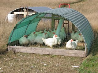 Cabin Homestead, Chicken Plucker, Pastured Poultry, Mobile Chicken Coop, Chicken Roost, Backyard Ducks, Poultry House, Chicken Pen, Green Chicken