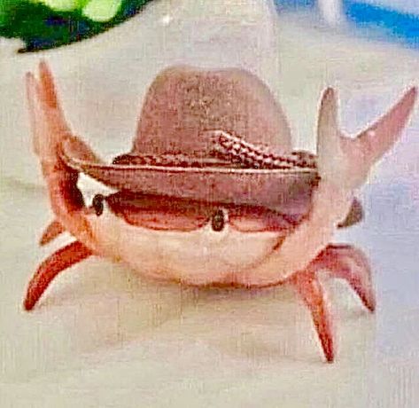 Animals With Hats, Animals In Hats, Tattoo Inspo, Cowboy Hat, Mood Pics, Crab, Cowboy Hats, Tatting, Tattoo Ideas