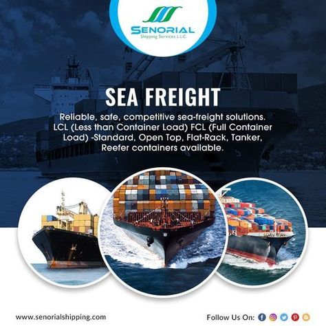 senorial shipping Reefer Container, Container Shipping, Freight Transport, Plywood Design, Freight Forwarding, Information Visualization, Graphic Design Tutorials Learning, Freight Forwarder, Cargo Services