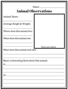 Animal Observation Worksheet, Zoo Worksheet, Aquarium Worksheet, Farm Worksheet, Animal Research, Animal Report, Animal Facts, Kindergarten, 1st grade, 2nd grade, 3rd grade, 4th grade, 5th grade, 6th grade #zooworksheet #farmworksheet #animalresearch #aquariumworksheet #1stgradeworksheets #2ndgradeworksheets #3rdgradeworksheets #4thgradeworksheets #5thgradeworksheets #6thgradeworksheets Zoo Homeschool Activities, Zoo Animals Science Activities, Zoo Animal Unit Study, Animal Habitats First Grade, Zoo Field Trip Worksheet, 6th Grade Worksheets, Animal Report, 5th Grade Worksheets, Animal Adaptations