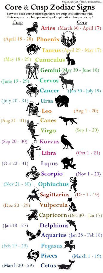 #Zodiac_Cusp_Signs #The_People_Of_Zodiac #Zodiac_Tarot_Cards #Astrology_Study Astrology Study, Cusp Signs, Zodiac Cusp, Free Tarot Cards, Astrology Meaning, Birth Charts, Zodiac Signs Chart, Learning Tarot Cards, Numerology Life Path