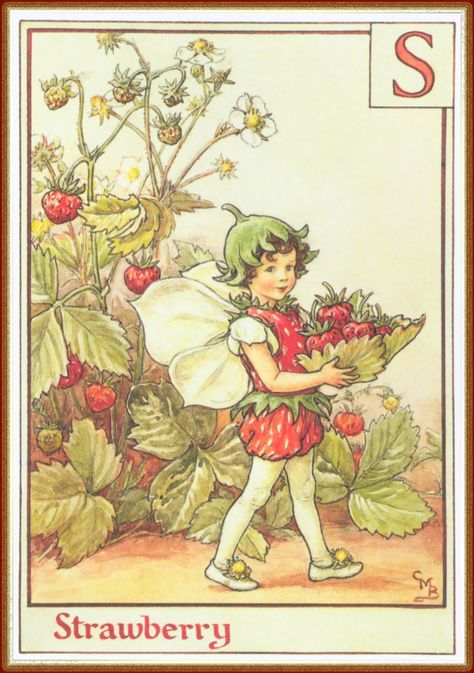 the Old Curiosity Shop: A Strawberry Fairy Picking Strawberries, Flower Fairies Books, The Letter S, 동화 삽화, Strawberry Flower, Fairy Illustration, Fairy Pictures, Cicely Mary Barker, Vintage Fairies