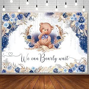 Bear Baby Shower Backdrop, Baby Shower Boho, Bear Baby Shower Theme, Balloons Photography, Baby Shower Photography, Baby Shower Theme Decorations, We Can Bearly Wait, Bearly Wait, Shower Backdrop