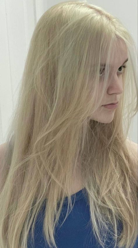 Bleach Blonde Hair Women, Pale Blonde Hair Aesthetic, Bleach Blonde Aesthetic, Bleach Blonde Hair Aesthetic, Long Bleach Blonde Hair, Long Blonde Hair Aesthetic, Icy Hair, Pale Blonde Hair, Bleach Blonde Hair