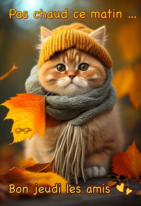 Autumn Animals, Image Chat, Silly Cats Pictures, Cute Cats Photos, Cat Aesthetic, Cute Animal Pictures, Silly Cats, Cat Illustration, Pretty Cats