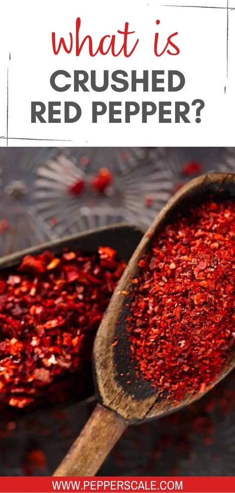 We’ve all used it before, whether at home, a pizza joint, or at an Italian restaurant: Crushed red pepper. It’s tasty, spicy, and a staple of the North American kitchen cupboard. But what is crushed red pepper (a.k.a. red pepper flakes)? What chili flakes make up the typical mix? Homemade Spice Mix, Pepper Spice, American Kitchen, Homemade Spices, Crushed Red Pepper, Crushed Red Pepper Flakes, Chili Flakes, Kitchen Cupboard, Peppers Recipes