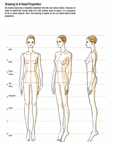 Body Drawing in 8-Head - Proportion (1) 8 Head Figure Drawing, Head Figure Drawing, Model Proportions, Anna Kiper, Croquis Fashion, Fashion Figure Templates, Fashion Illustration Tutorial, Fashion Figure Drawing, Model Sketch