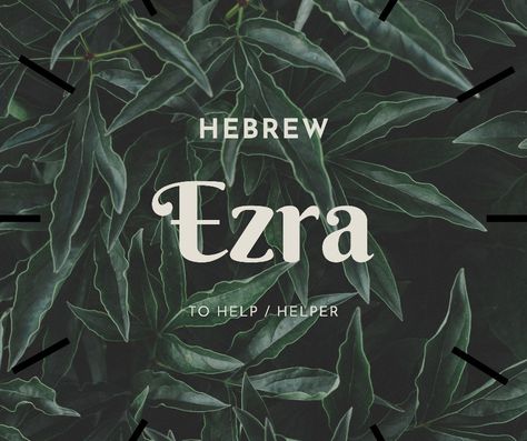 Male name - Ezra Ezra Name Meaning, Biblical Baby Names With Meaning, Biblical Boy Names With Meaning, Ezra Tattoo, Ezra Name, Male Names With Meaning, Bible Baby Names, Male Names, Meaningful Baby Names